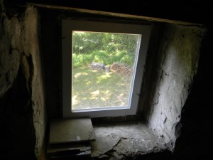 Black Walnut wood -- the start of our wood pile -- a view from the attic window.