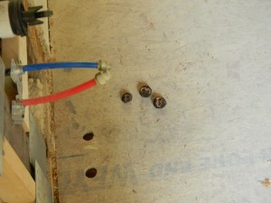 Nuts in the bathroom