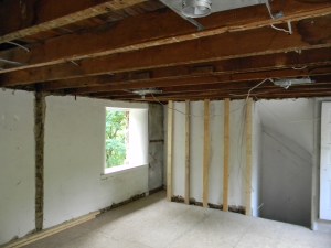 The Master Bedroom ceiling came down, and so did the nuts