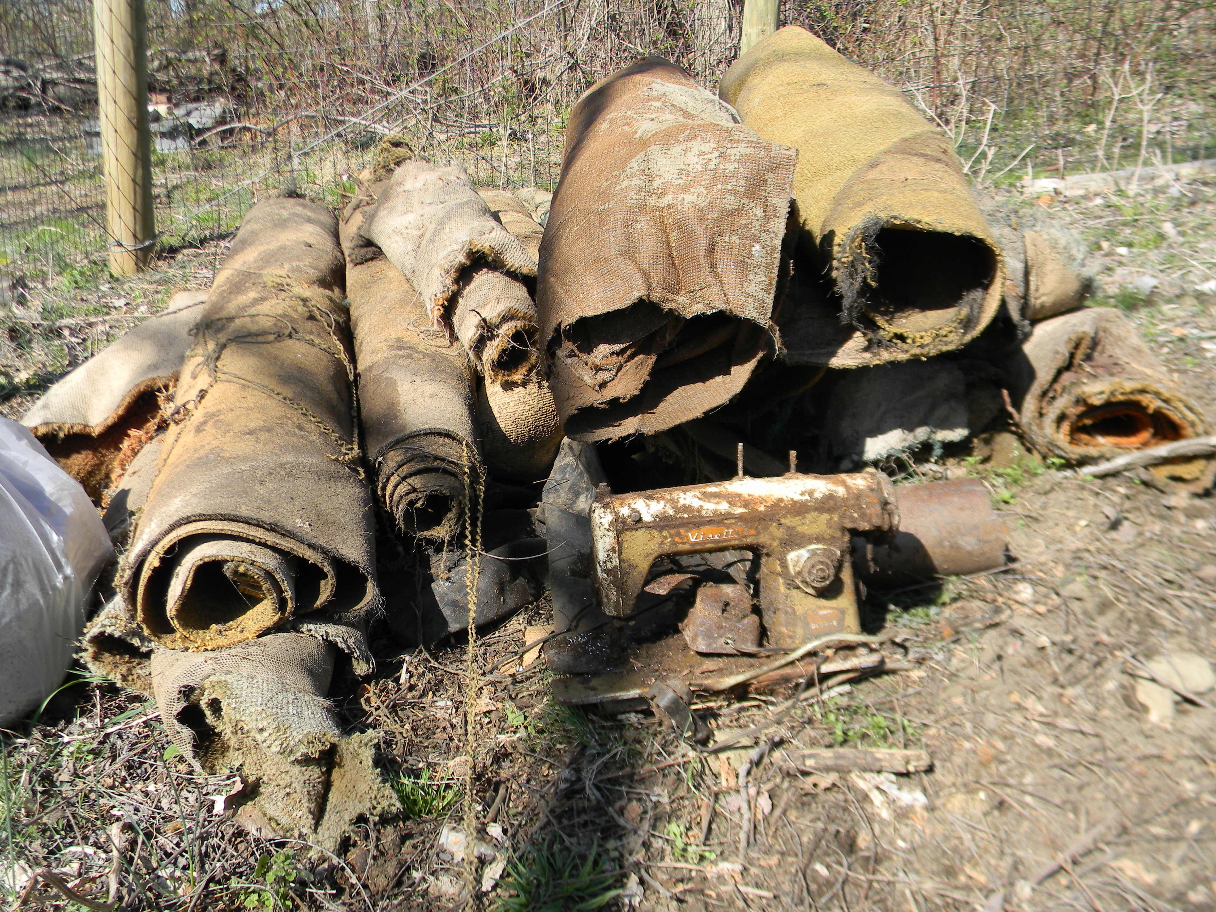 DSCN8475 - Copy - Copy