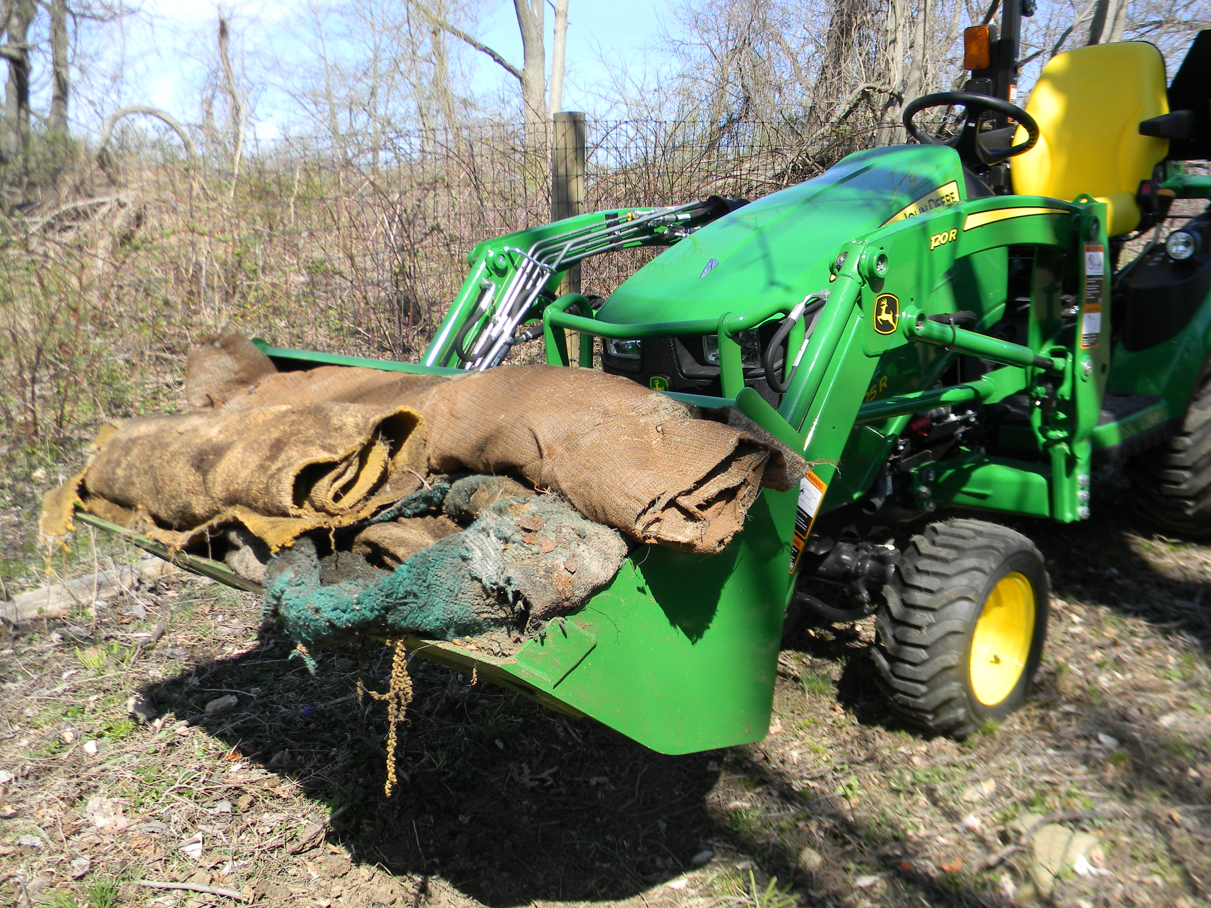 DSCN8479 - Copy - Copy