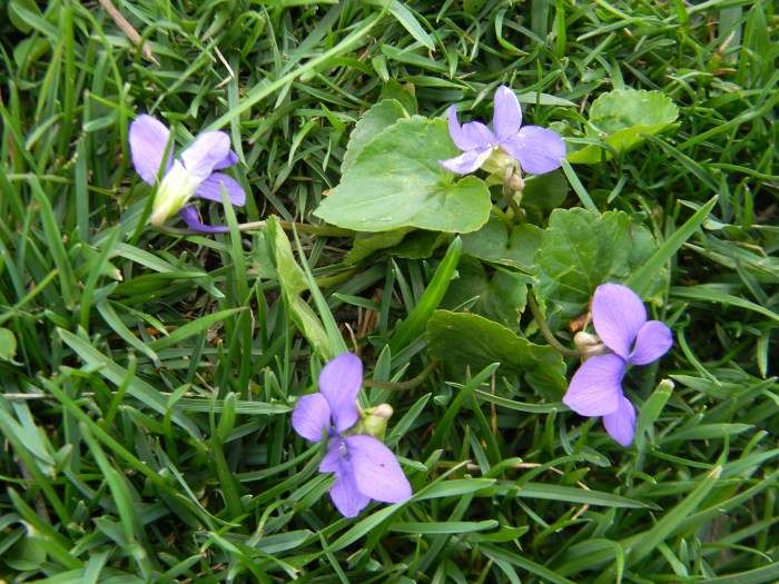 DSCN8481 - Copy - Copy