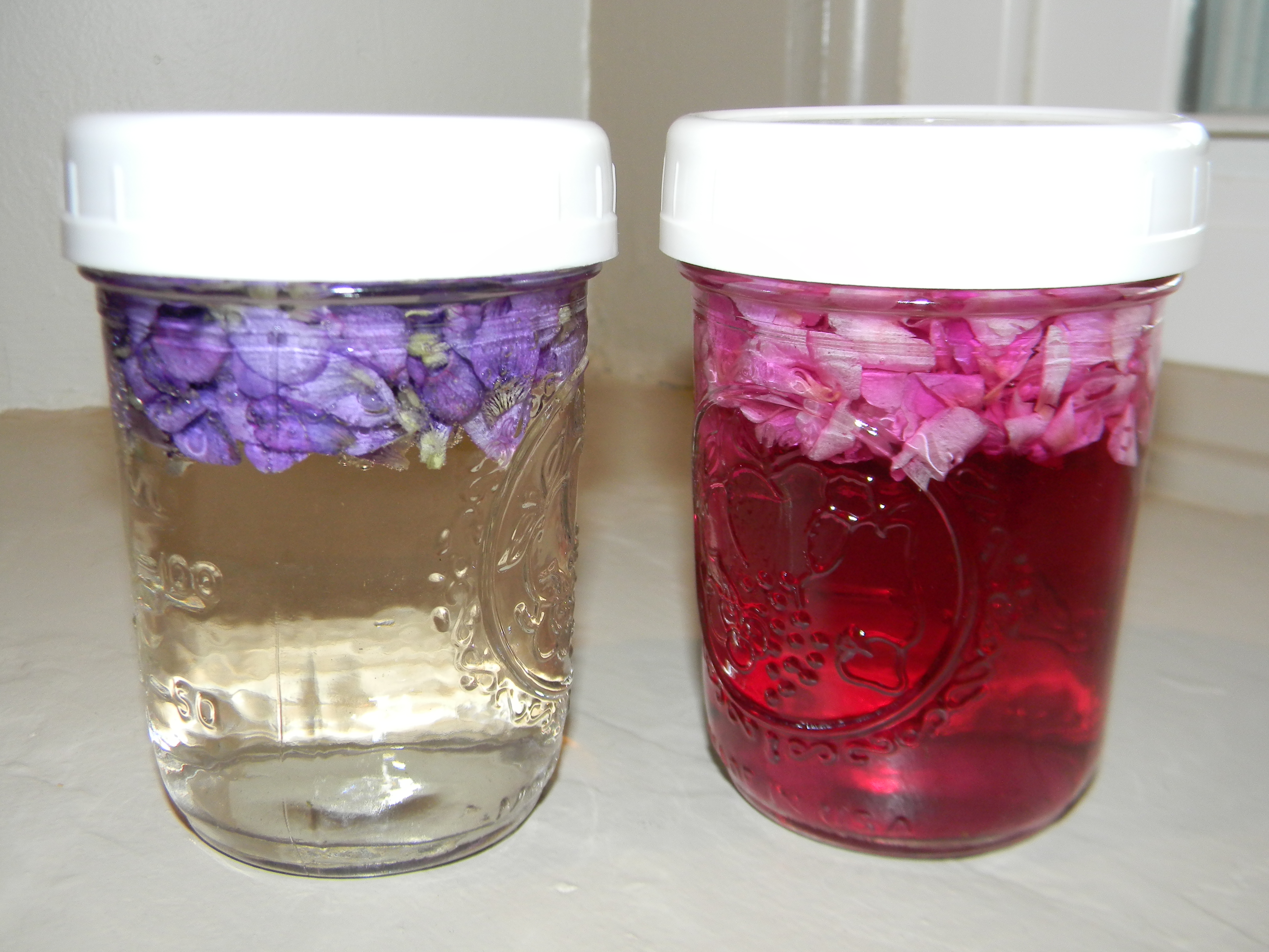 DSCN8491 - Copy - Copy