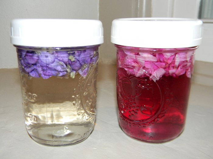 DSCN8491 - Copy - Copy