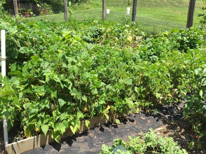 0129ced516392637e2ca78ef702551b00ecd1118b5